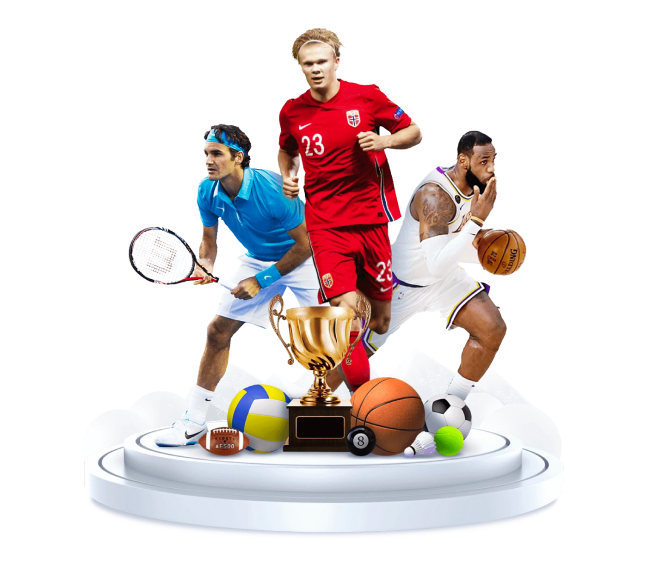 Bsport体育登录入口软件截图1