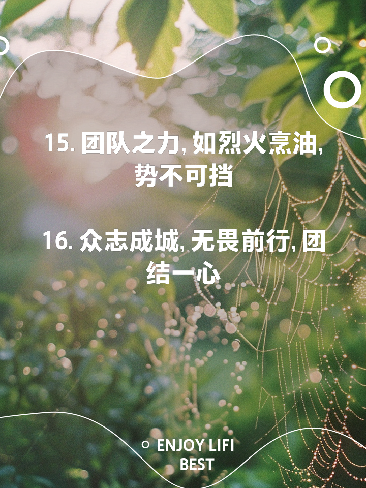 鳳凰彩票app下载v.2025团结一心，球员们共同努力展现出团队的凝聚力