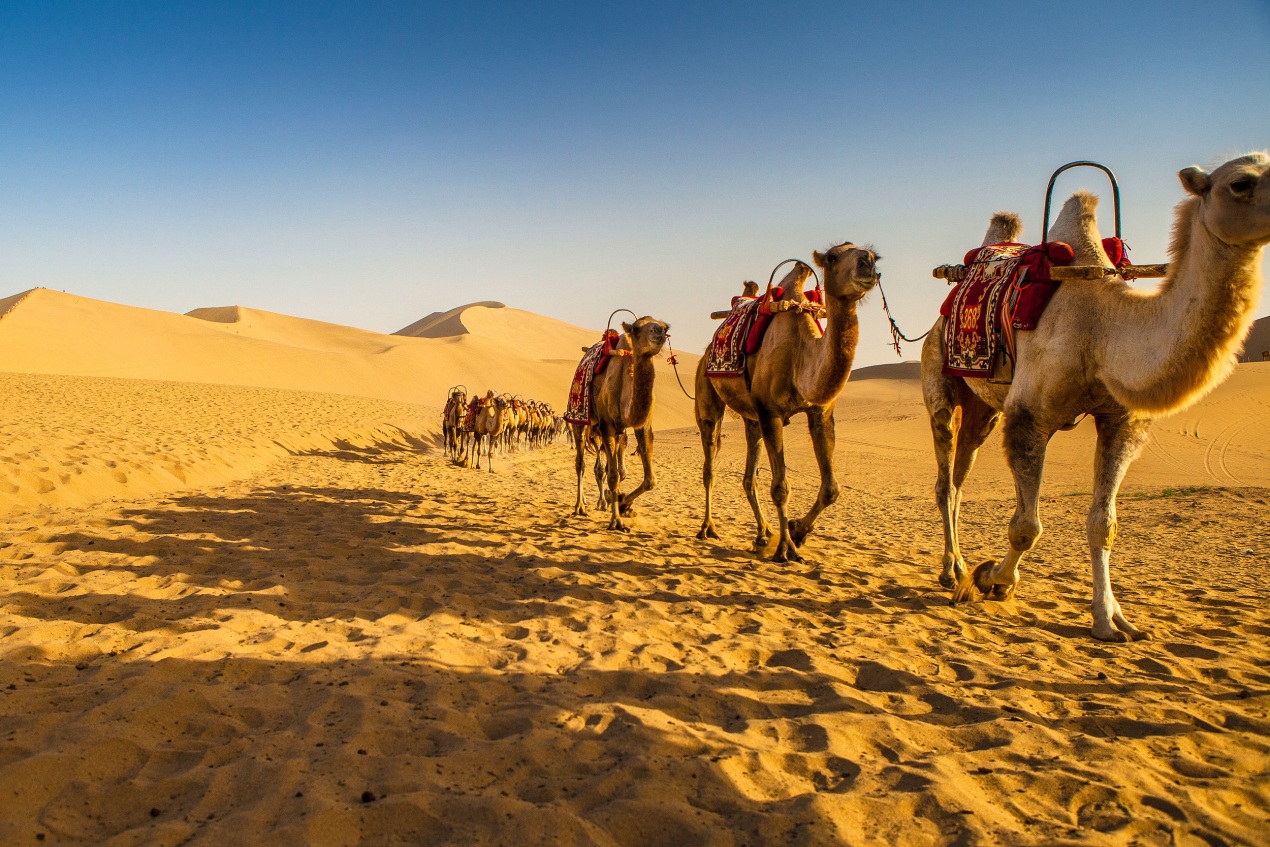 幸运彩welcome彩票大厅v.2026中国足球联赛热度持续升温，球队备战决胜时刻的简单介绍