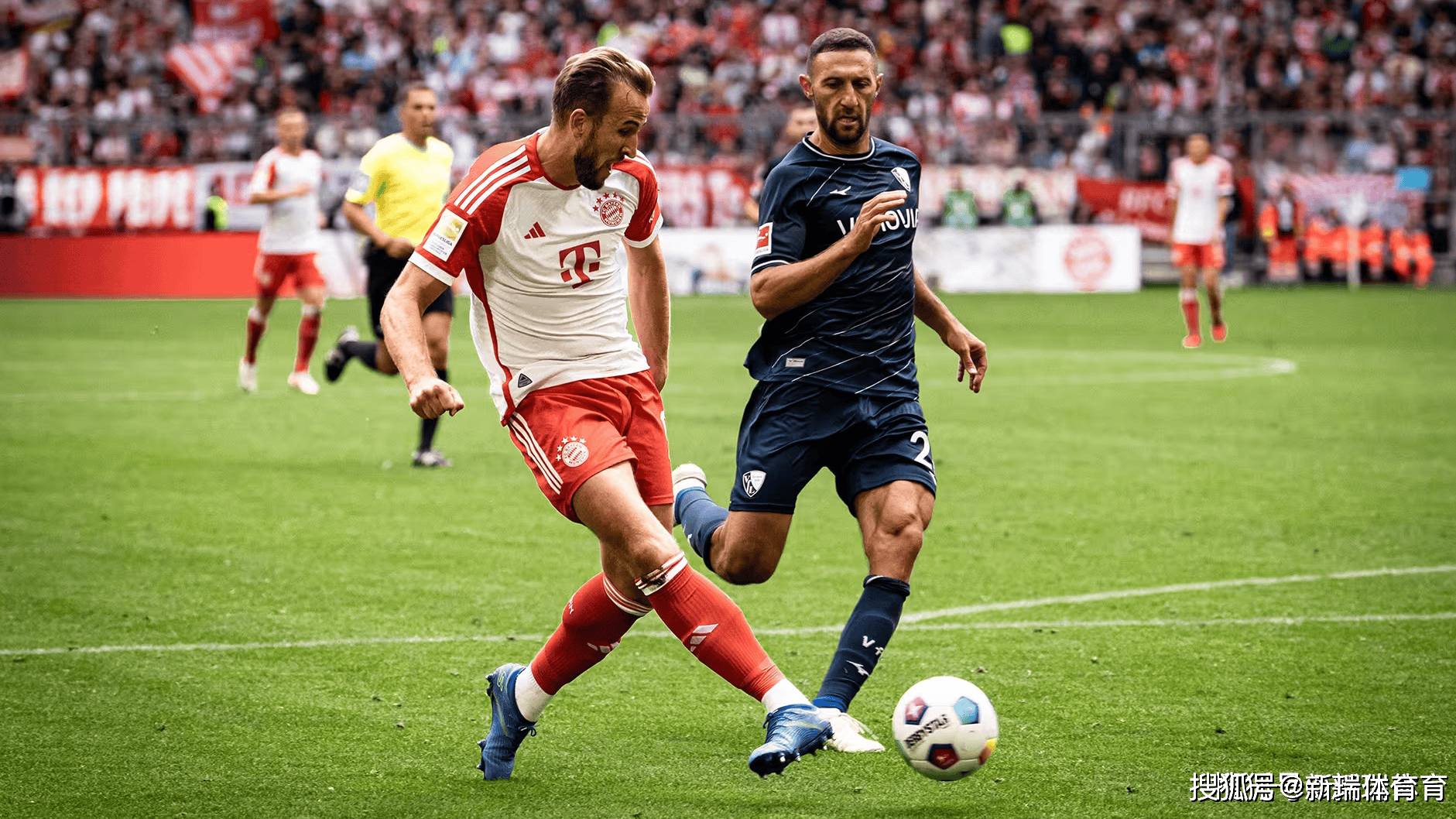 苹果pg麻将模拟器·comv.2026波鸿客场险胜德甲前八球队势如破竹的简单介绍