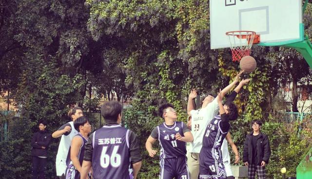 娱乐棋牌comv.2026职业篮球联赛