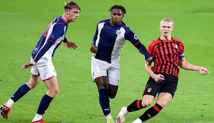 江南app最新版下载v.2026斯旺西主场大比分获胜，喜迎大捷的简单介绍