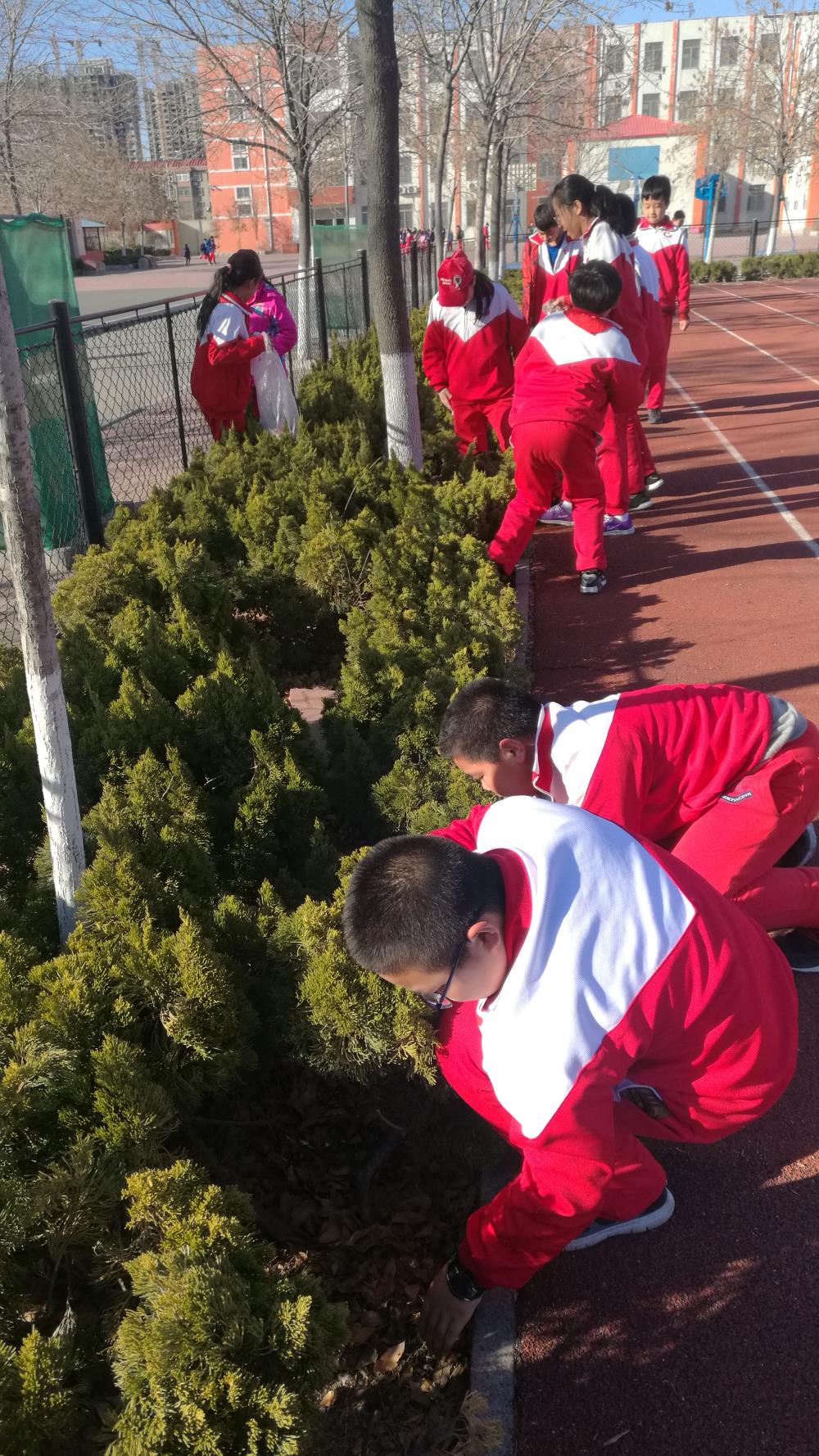 云开彩票v.2026关于森林狼队球员在社区开展志愿者活动服务居民的信息