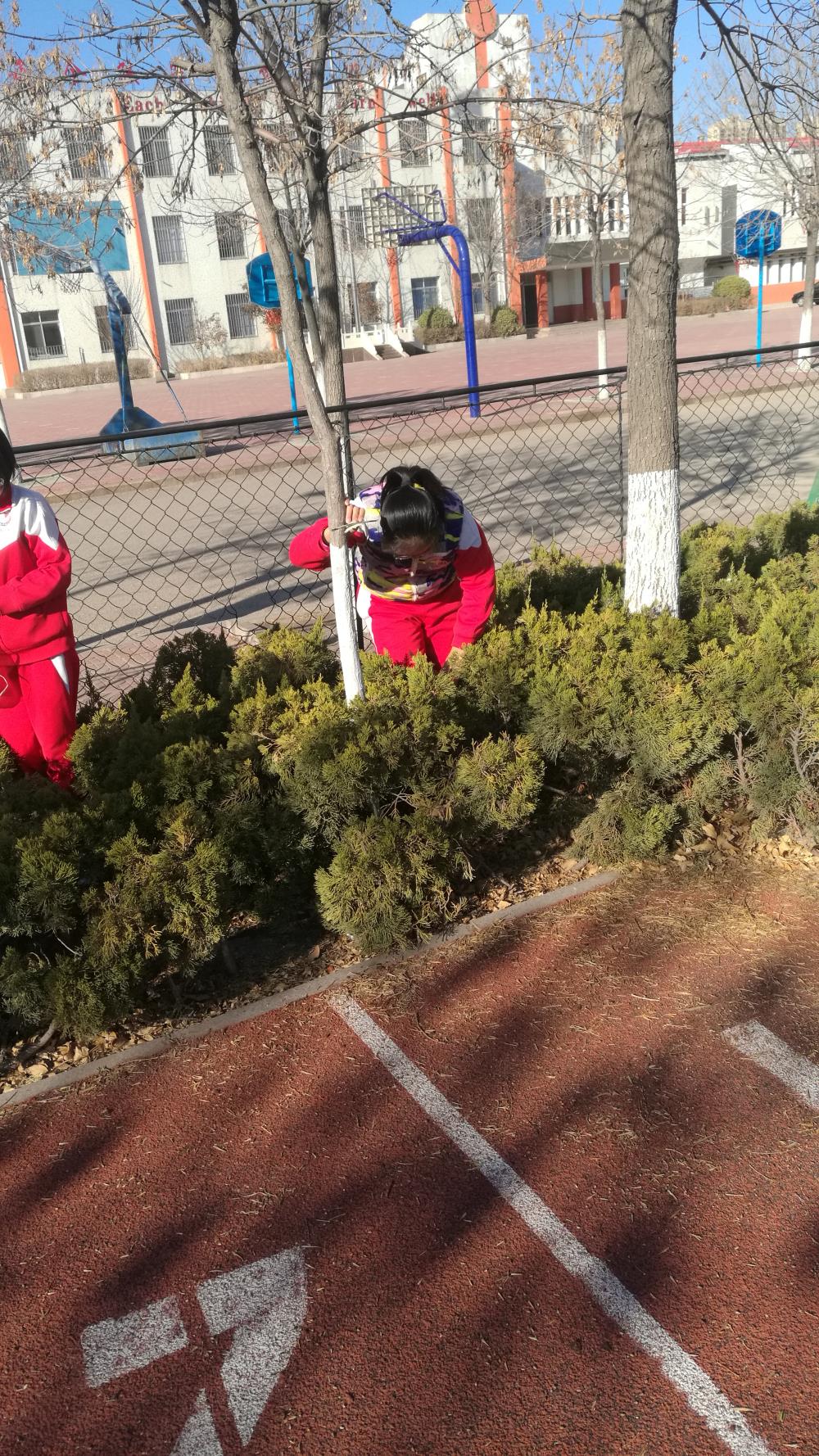 关于森林狼队球员在社区开展志愿者活动服务居民的信息